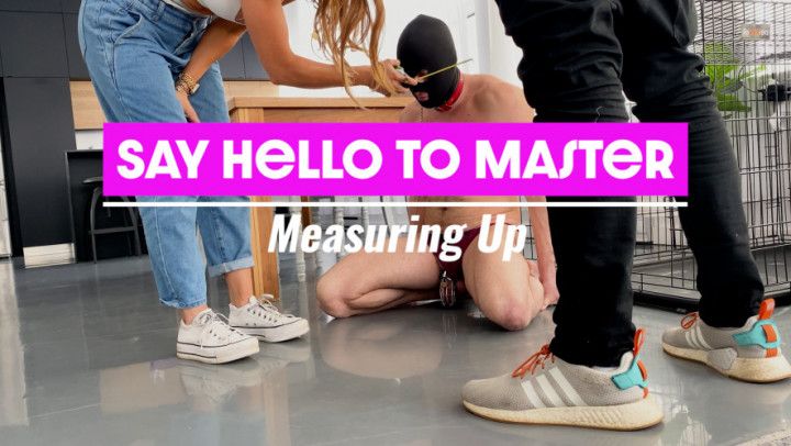 Say Hello to Master: Measuring Up