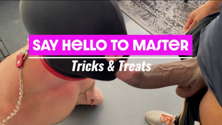 Say Hello to Master: Tricks &amp; Treats