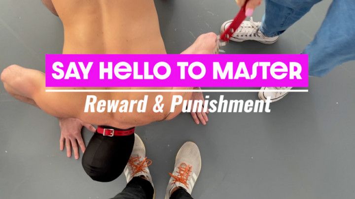 Say Hello to Master: Reward &amp; Punishment