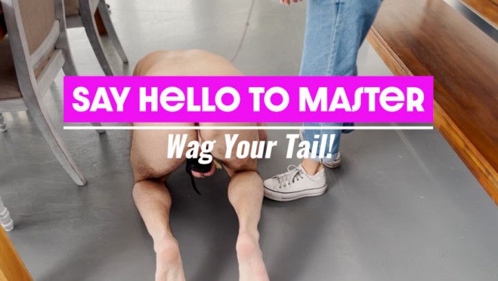 Say Hello to Master: Wag Your Tail