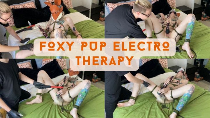 Foxy Pup Electro Therapy