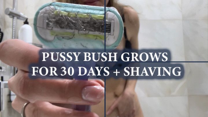 Pussy bush grows for 30 days + shaving