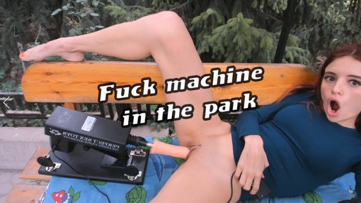 fucking with a fucking car in the park