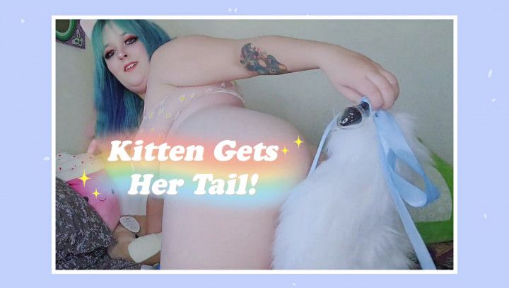 Kitten Gets Her Tail