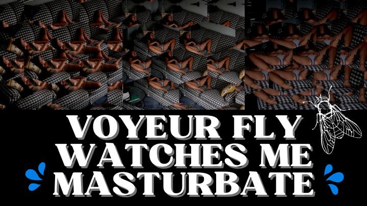 Voyeur Fly Watches me Masturbate | FREE