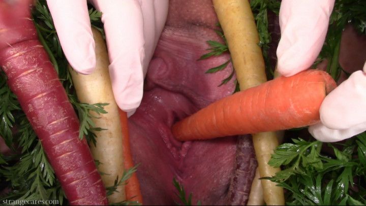 carrot fucking my peehole