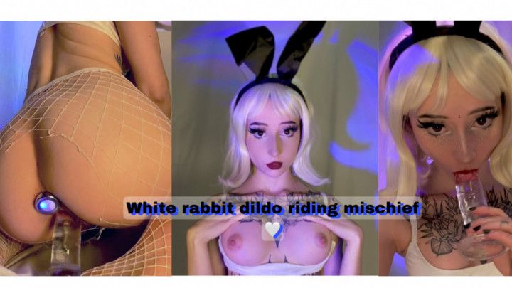 petite bunny girl rides dildo