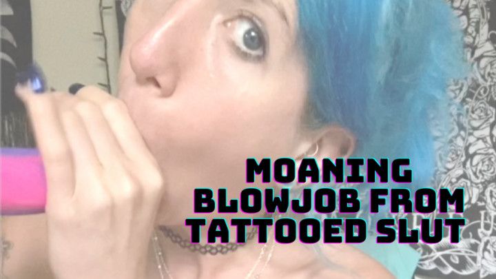 Moaning Blowjob from Tattooed Slut