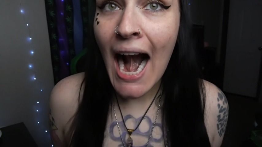 GothBunny's Mouth Tour