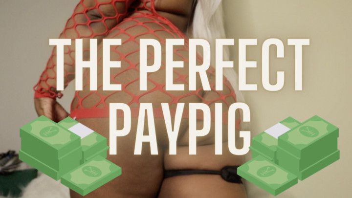 The Perfect Paypig