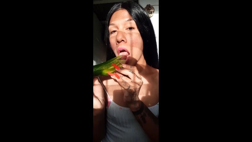 Oral sex to the cucumber before fucking