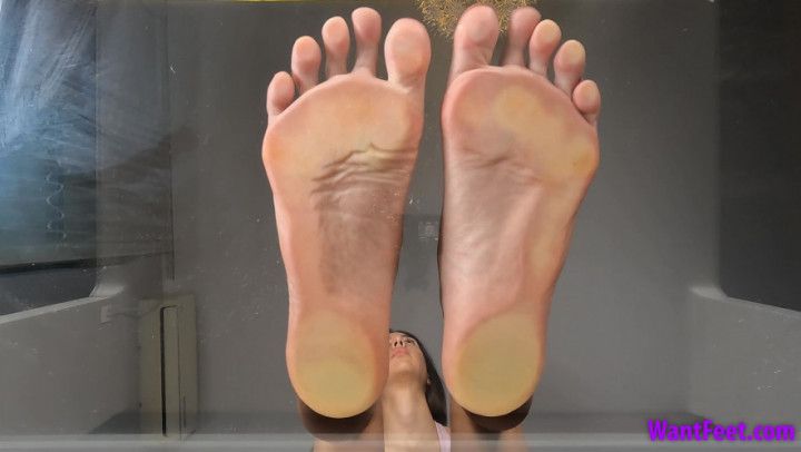 Large Soles on Glass HD