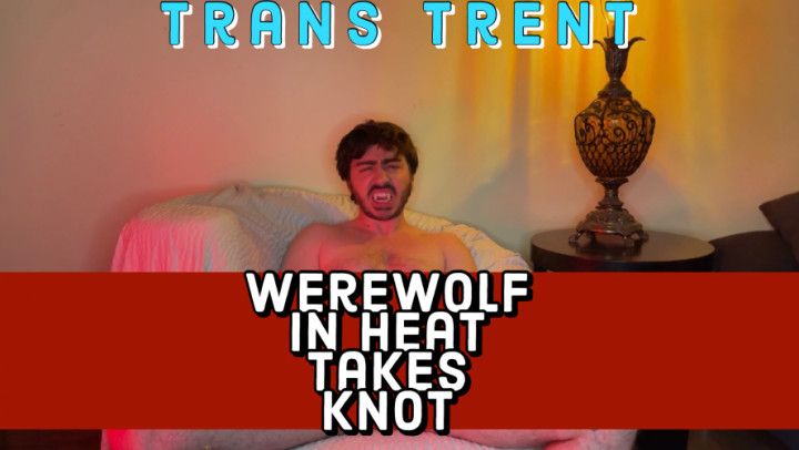 Werewolf In Heat Takes Knot