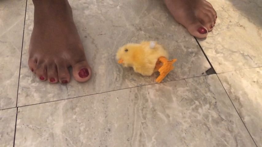 stomping on toy chick barefoot