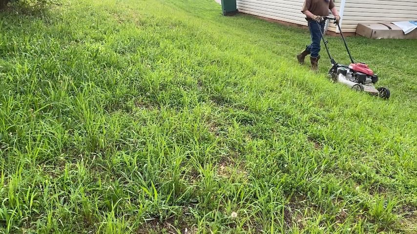 Slave cutting grass