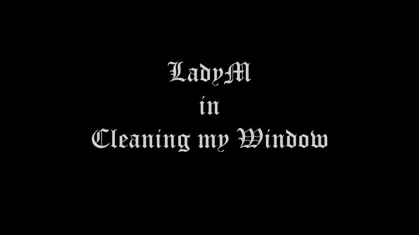 Cleaning my Window