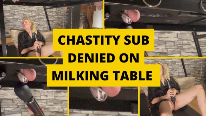 Chastity sub denied on milking table