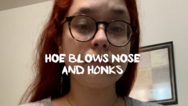 Hoe Blows Nose and HONKS