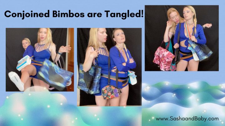 Conjoined Bimbo Twins Argue About Fashion and Purses