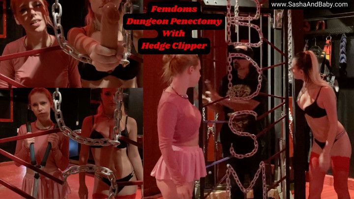 Femdoms Dungeon Penectomy With Hedge Clippers Hardcore Taboo