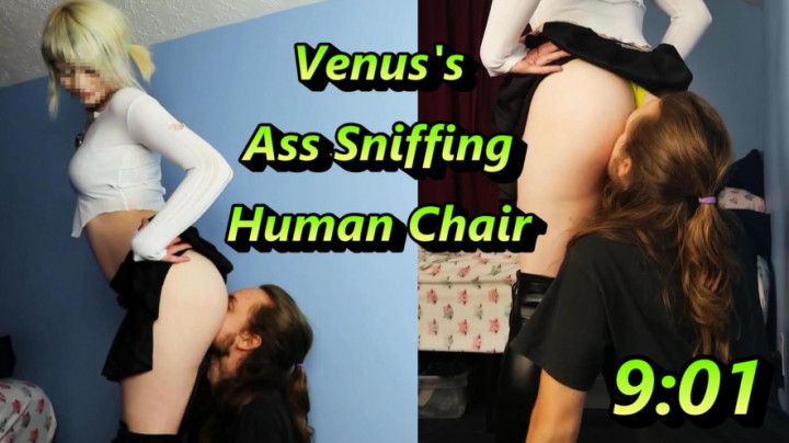 Venus's Ass Sniffing Human Chair