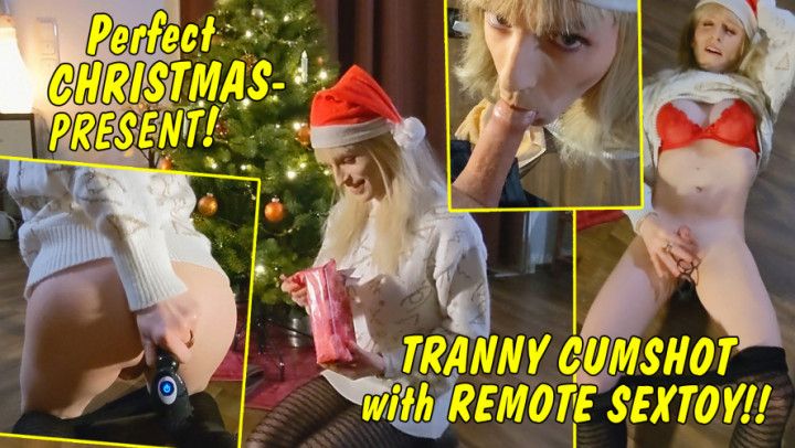 Christmas Present sextoy for Tranny girl