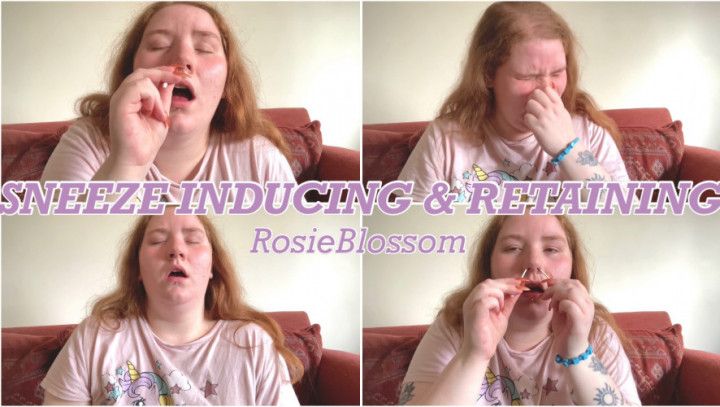 Inducing &amp; Retaining Sneezes