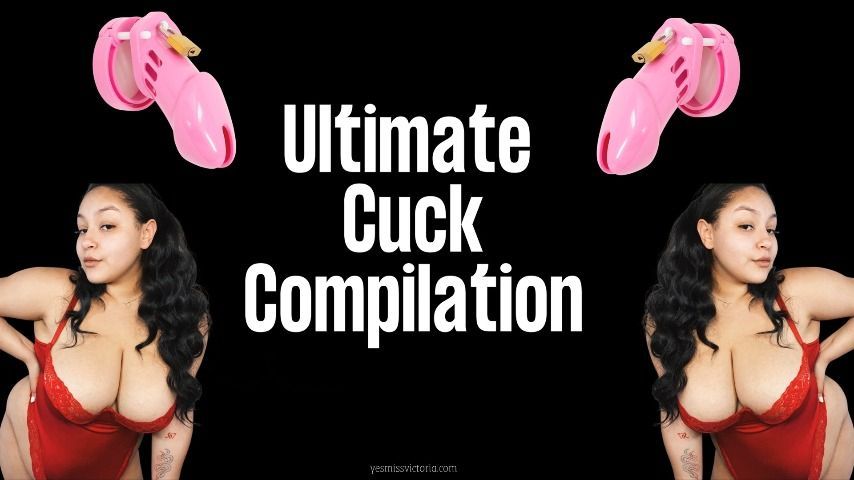 ULTIMATE CUCK COMPILATION