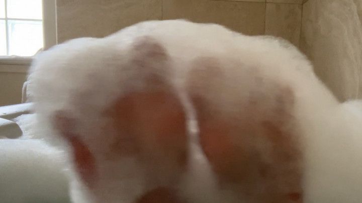 Soapy Toes