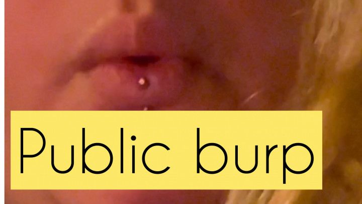 PUBLIC BURP