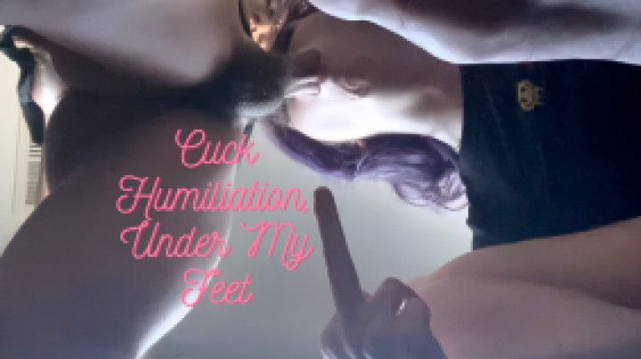 Cuckold Humiliation, Under My Feet