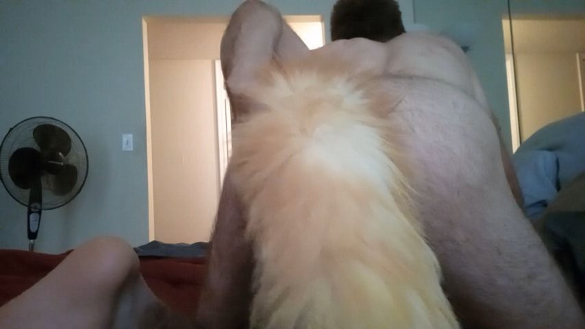 Sub fox furry masturbation