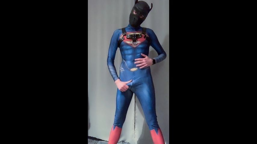 Superboy Puppy goes naughty