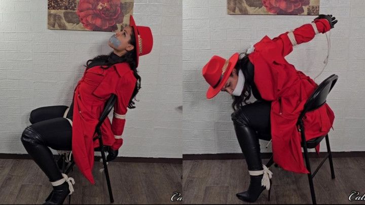 Carmen Sandiego Gets Caught