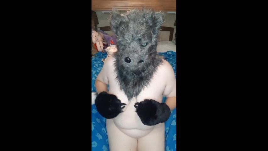 Furry Grey Wolf Plays With Small Dildo