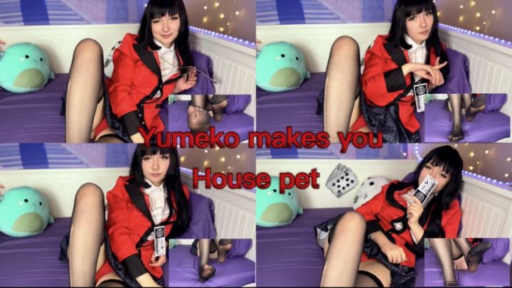 Yumeko makes you house pet