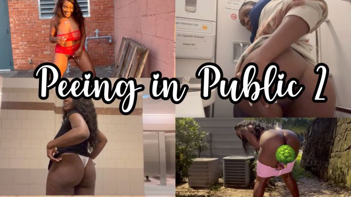 Peeing in Public 2