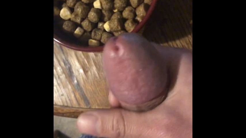 cumming in your cereal - coco puff