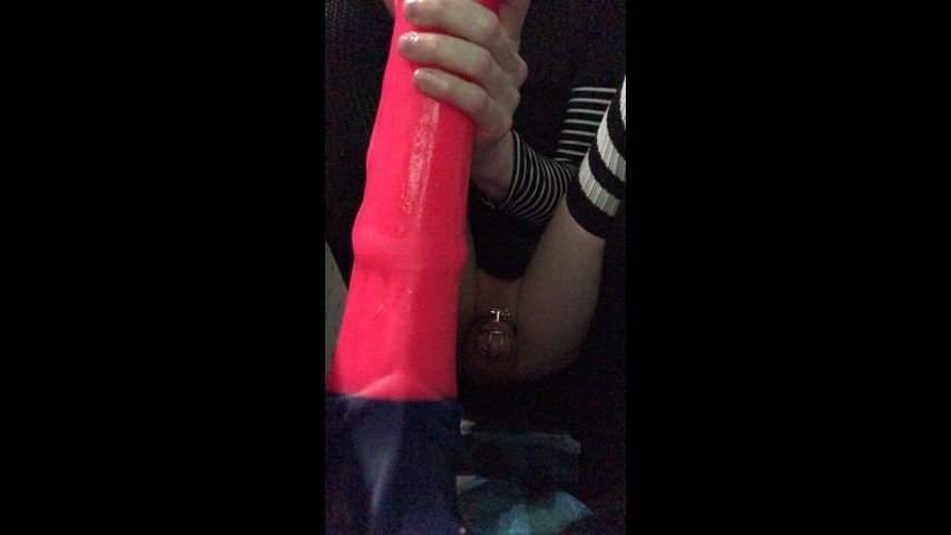 Huge Horsecock Dildo Insertion