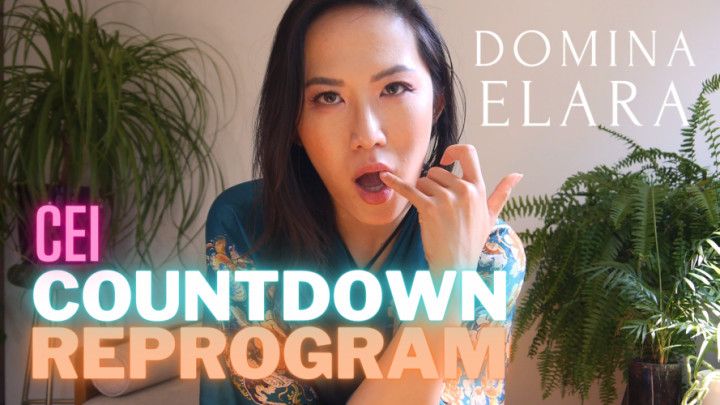 CEI Countdown Reprogram