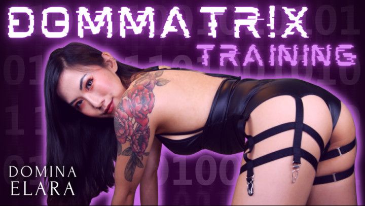 The DomMatr!x Training