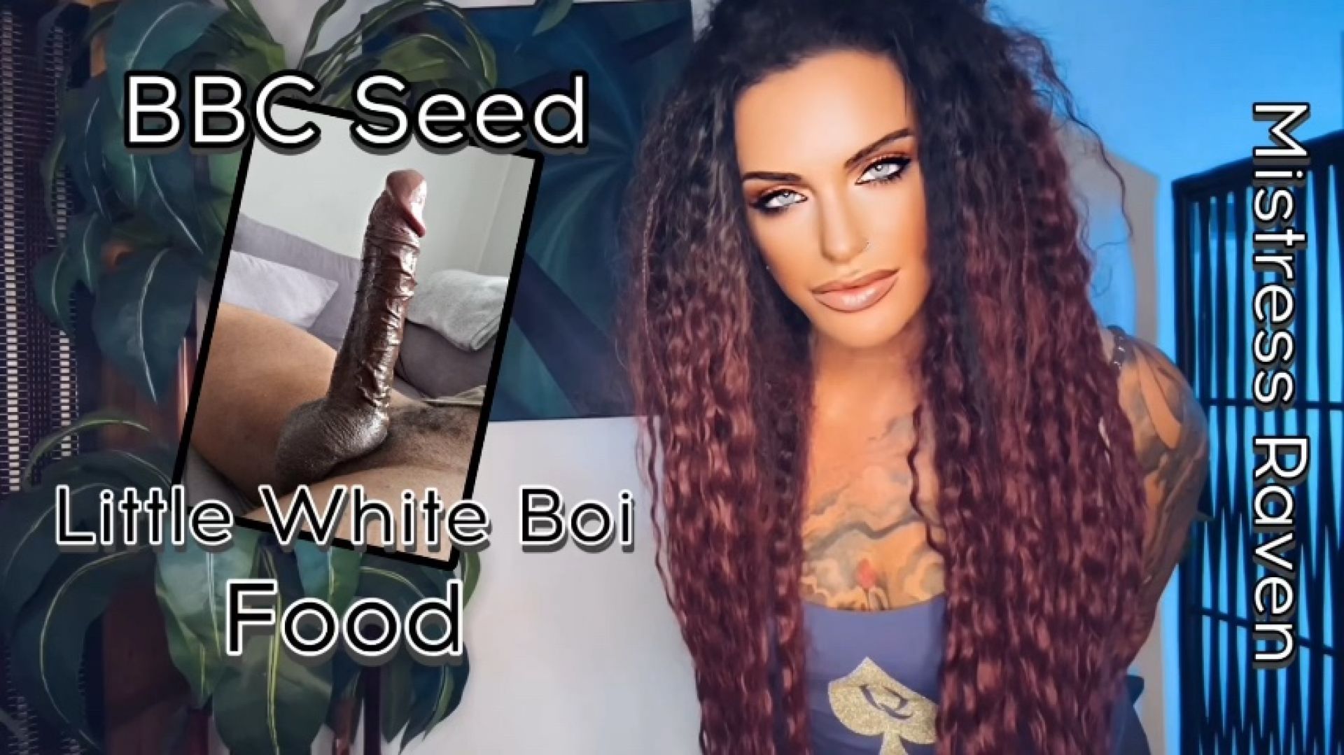 BBC SEED - LITTLE WHITE BOIS FOOD