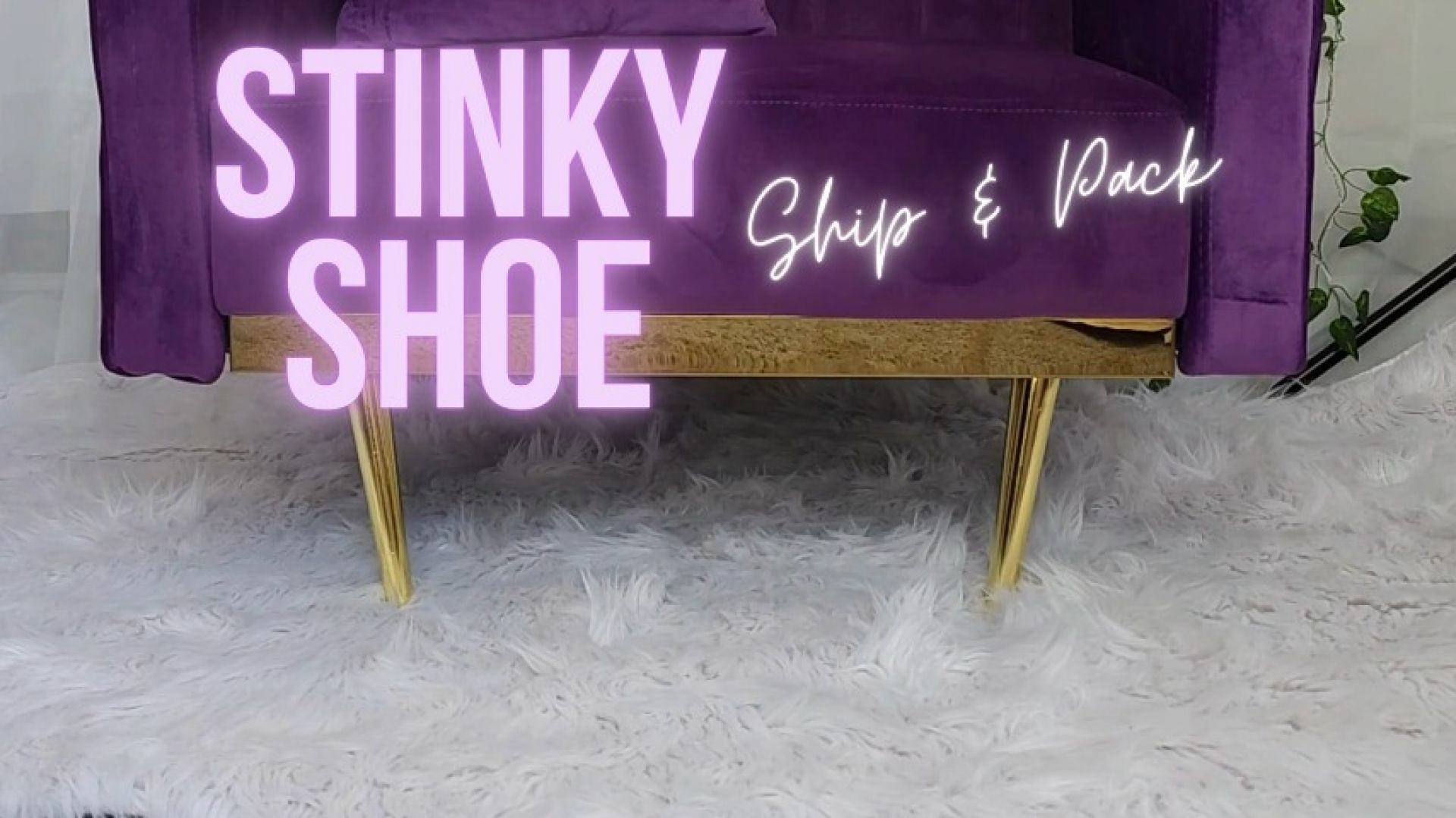 Stinky Shoe Ship &amp; Pack