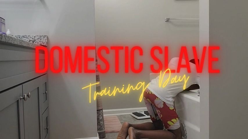 Domestic Slave Training