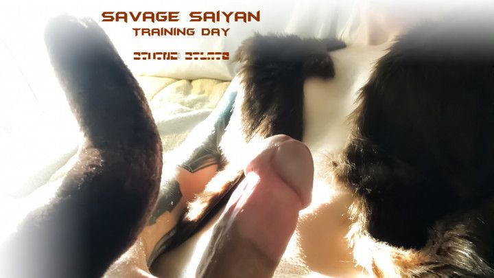 Savage Saiyan: Training Day