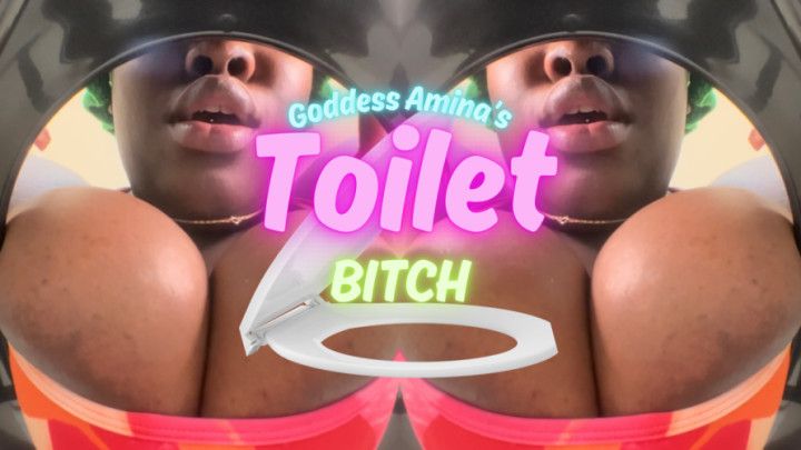 Goddess Aminas Toilet Bitch