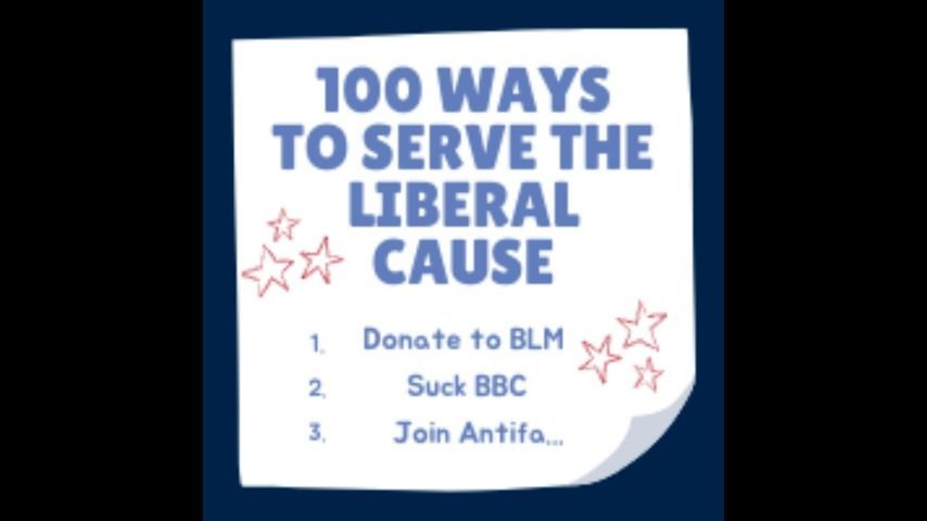 AUD 100 Ways to Serve the Liberal Cause