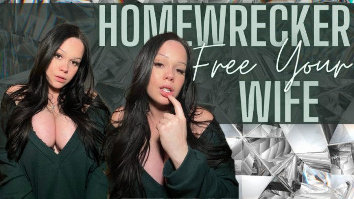 Homewrecker: Free Your Wife