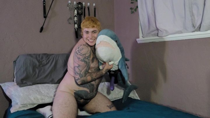 Trans Man Rides Dildo on Blahaj Plushie