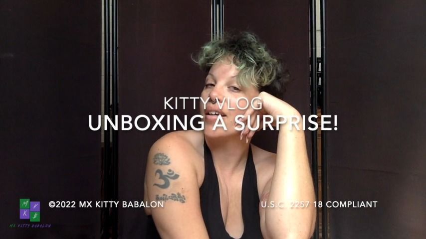 Kitty Vlog: Unboxing a Surprise